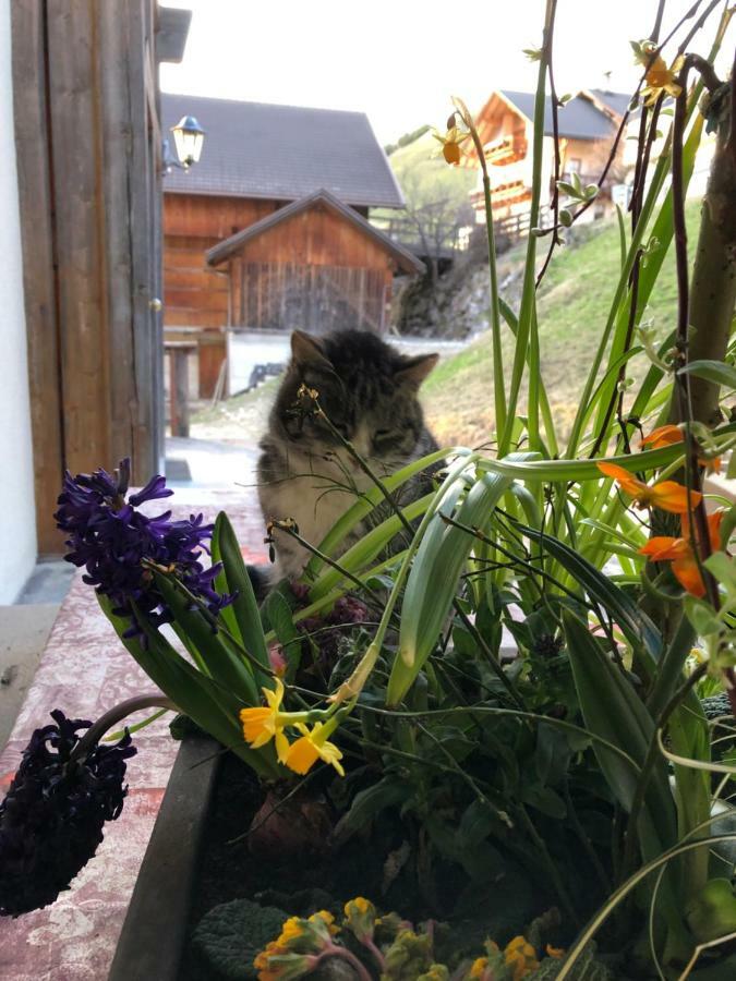 Luech Da Spescia Villa La Valle Dış mekan fotoğraf